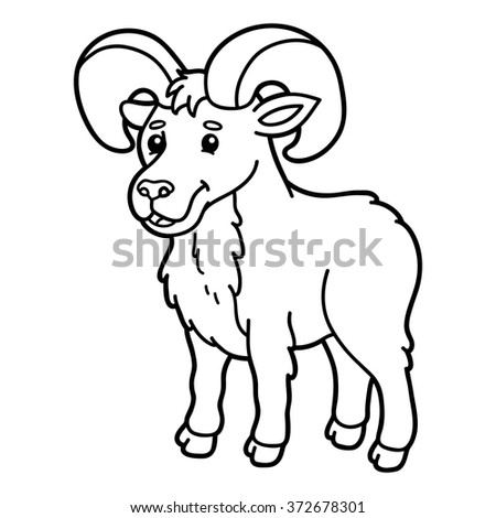 Urial Stock Photos, Royalty-Free Images & Vectors - Shutterstock