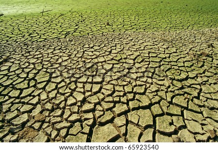 http://thumb7.shutterstock.com/display_pic_with_logo/101119/101119,1290724210,5/stock-photo-cracked-mud-in-the-bottom-of-a-river-showing-drought-65923540.jpg