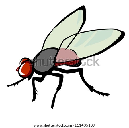Fly Stock Photos, Images, & Pictures | Shutterstock