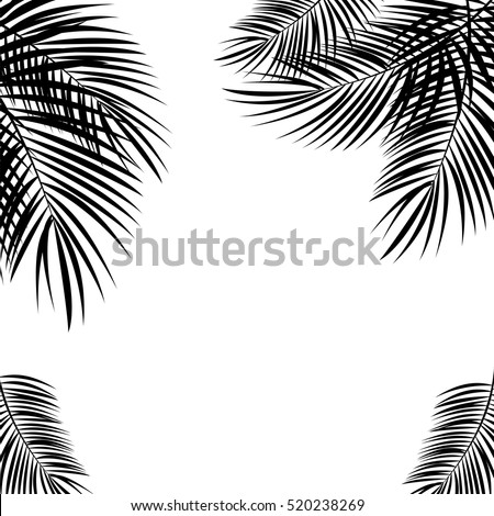 Black Palm Leaf on White Background. Vector Illustration. EPS10 Black Palm Leaf on White Background. Vector Illustration. EPS10