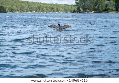 loon lake muslim singles With a weather forecast of sunny and 85 on this beautiful northern california weekend, loon lake‘s “surfin” is going to be the fuel to keep. loon lake muslim singles With a weather forecast of sunny and 85 on this beautiful northern california weekend, loon lake‘s “surfin” is going to be the fuel to keep.