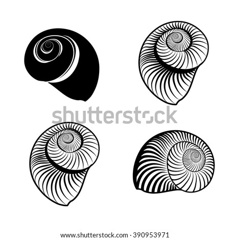 Seashell Stock Vectors & Vector Clip Art | Shutterstock