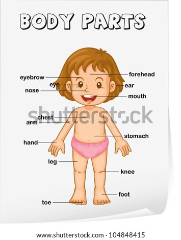 Cartoon Body Parts Stock Photos, Images, & Pictures | Shutterstock