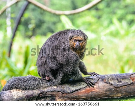 Juvenile prison Stock Photos, Juvenile prison Stock ...