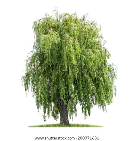 salix jewish personals Free salix local classifieds search and post classified ads in for sale, cars, jobs and more for salix ia. salix jewish personals Free salix local classifieds search and post classified ads in for sale, cars, jobs and more for salix ia.