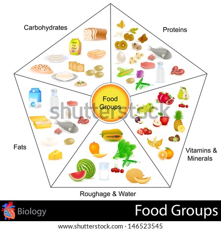 Different Types Of Carbohydrates In The Diet