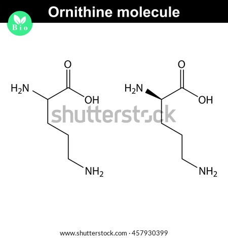 urea formula