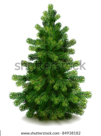 Pine-tree Stock Images, Royalty-Free Images & Vectors | Shutterstock
