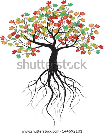 Underground Roots Tree Stock Photos, Images, & Pictures | Shutterstock