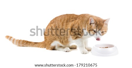 sexy mom spreads ass nude lick your chops cat