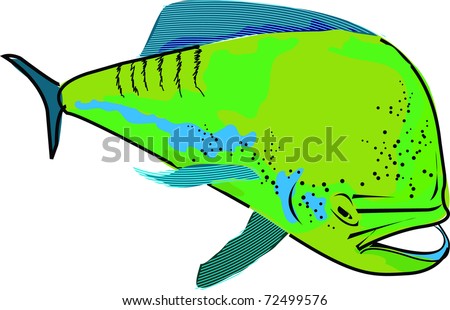 Mahi-mahi Stock Photos, Images, & Pictures | Shutterstock