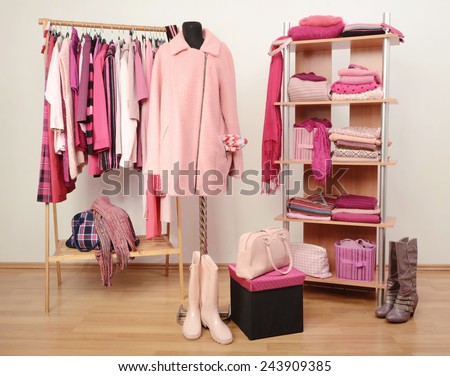 stock-photo-dressing-closet-with-pink-clothes-arranged-on-hangers-and-shelf-a-coat-on-a-mannequin-fall-winter-243909385.jpg