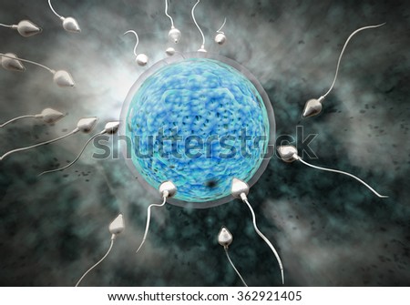 sperm race essay sperm race essay