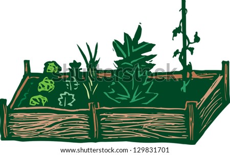 Cartoon Vegetable Garden Rows Vector illustration of raised bed garden ...