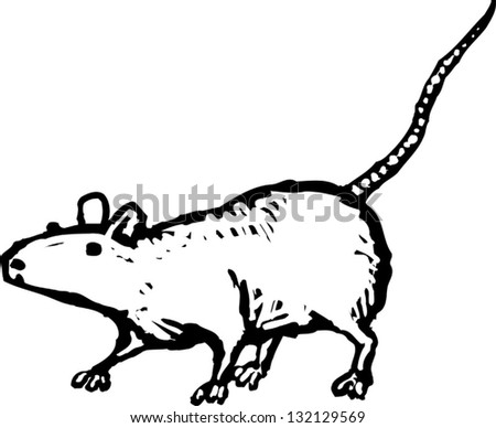 Black White Vector Illustration Rat Stock Vector 134345018 - Shutterstock