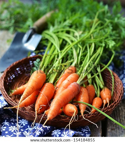 Про стоки Fresh kitchen garden carrots on the wooden background - stock photo