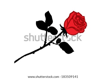 Rose Stem Stock Photos, Royalty-Free Images & Vectors - Shutterstock