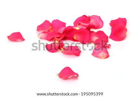 Pink Rose Petals Stock Photos, Images, & Pictures | Shutterstock