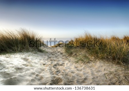 dunes sand beach path sandbanks poole leading through dorset dune shutterstock illustrations