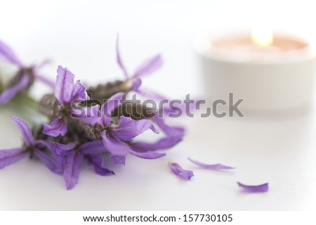 Purple candle Stock Photos, Purple candle Stock Photography ...