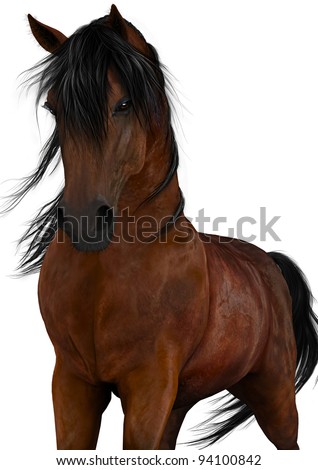 Horse black Stock Photos, Images, & Pictures | Shutterstock