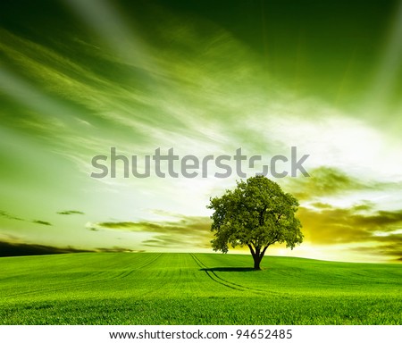 Landscape Stock Photos, Illustrations, and Vector Art