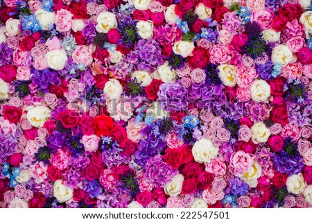 Purple Flower Stock Photos, Images, & Pictures | Shutterstock