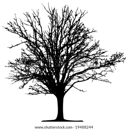 Silhouette Vector Tree Stock Vector 2832413 - Shutterstock