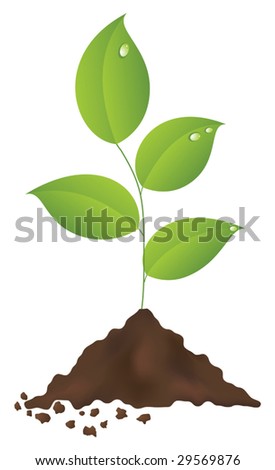 Dirt Mound Stock Photos, Images, & Pictures | Shutterstock
