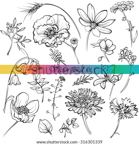 Flower Line Drawing Stock Photos, Images, & Pictures | Shutterstock