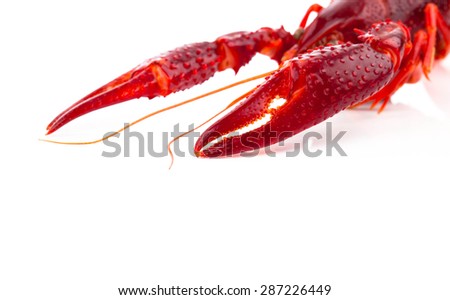 Crawfish Stock Photos, Images, & Pictures | Shutterstock