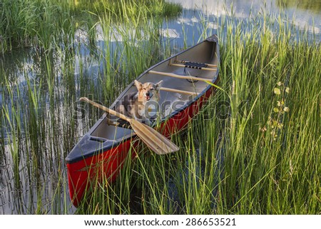 Wooden Canoe Stock Photos, Illustrations, and Vector Art