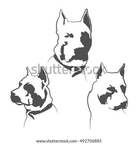 american pit bull terrier american icon The pit bull terrier, which is the predecessor to the american pit bull terrier, was first produced by breeding the old english terrier to the old english bulldog the result of this crossing was a dog with the enthusiastic eagerness of the terrier and the strong, athletic nature of early bulldogs. american pit bull terrier american icon The pit bull terrier, which is the predecessor to the american pit bull terrier, was first produced by breeding the old english terrier to the old english bulldog the result of this crossing was a dog with the enthusiastic eagerness of the terrier and the strong, athletic nature of early bulldogs.