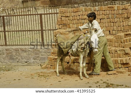 Donkey Cartoon Mount | just b.CAUSE Donkey Cartoon Mount | just b.CAUSE