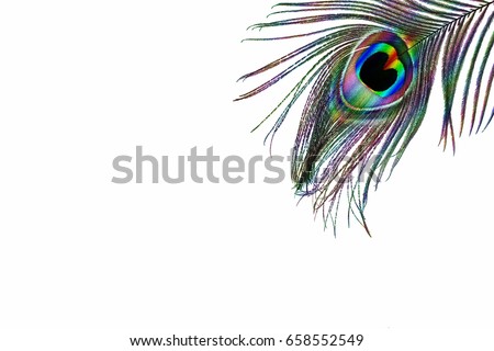 Beautiful Ornate Tribal Peacock Feather Tattoo Stock Vector 364137725