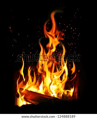 burning log and fire - stock photo