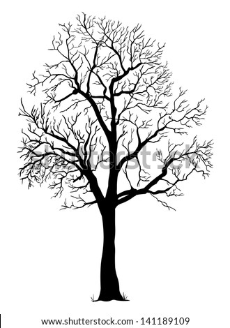 Bare-tree Stock Images, Royalty-Free Images & Vectors | Shutterstock