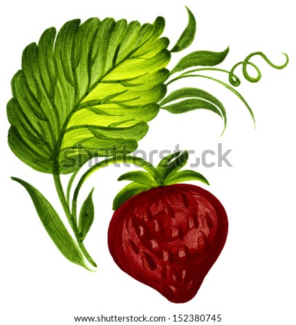 red berry - stock photo