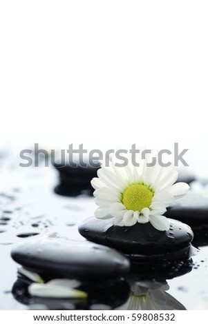 daisy thai svenska mogna kvinnor daisy thai svenska mogna kvinnor