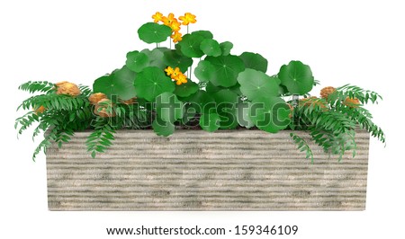 Planter Stock Photos, Images, & Pictures | Shutterstock