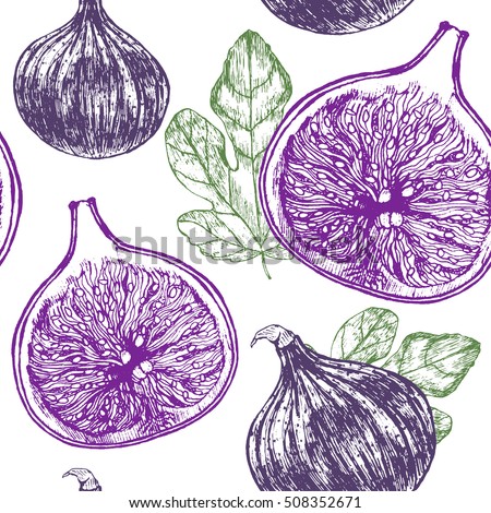 Fig Stock Images, Royalty-Free Images & Vectors | Shutterstock