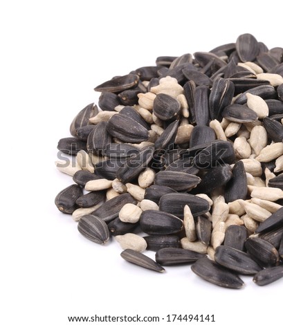 black sunflower seeds for humans pin background sunflower shining on black sunflower seeds for humans pin background sunflower shining on