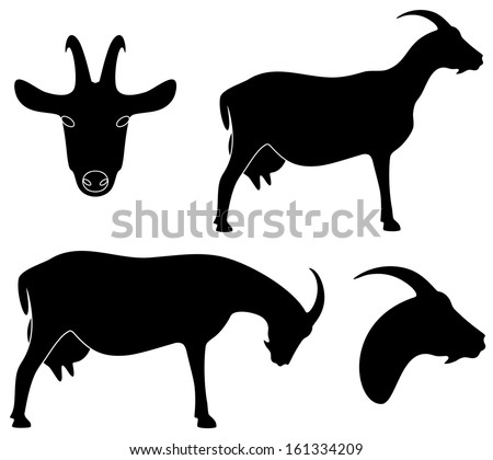 Goat head Stock Photos, Images, & Pictures | Shutterstock