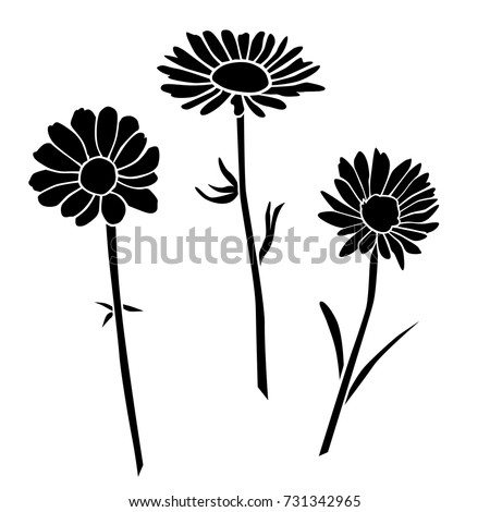 Meadow Flowers On White Background Stock Vector 105735098 - Shutterstock