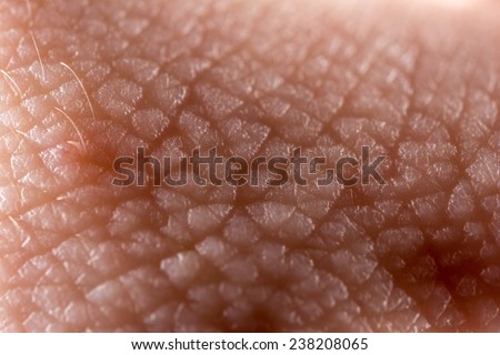 skin macro stock photos images pictures skin cells stock photos images pictures skin macro stock photos images pictures skin cells stock photos images pictures
