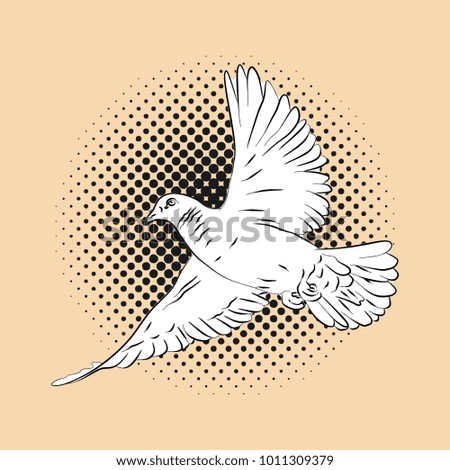 Dove bird hand drawn illustration in black and white. Realistic line art drawing style.
