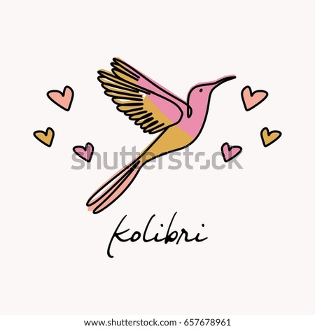 Kolibri line art with soomth color