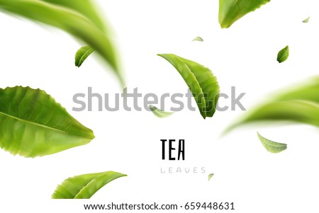 vividly flying green tea leaves, white background 3d illustration vividly flying green tea leaves, white background 3d illustration