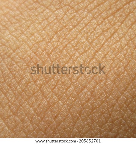 human skin macro texture stock photo 65616337 human skin texture stock photos images pictures human skin macro texture stock photo 65616337 human skin texture stock photos images pictures