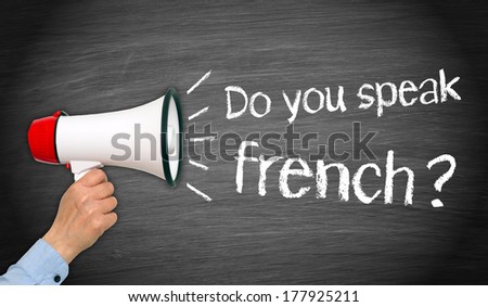 YOU SPEAK FRENCH you speak french: